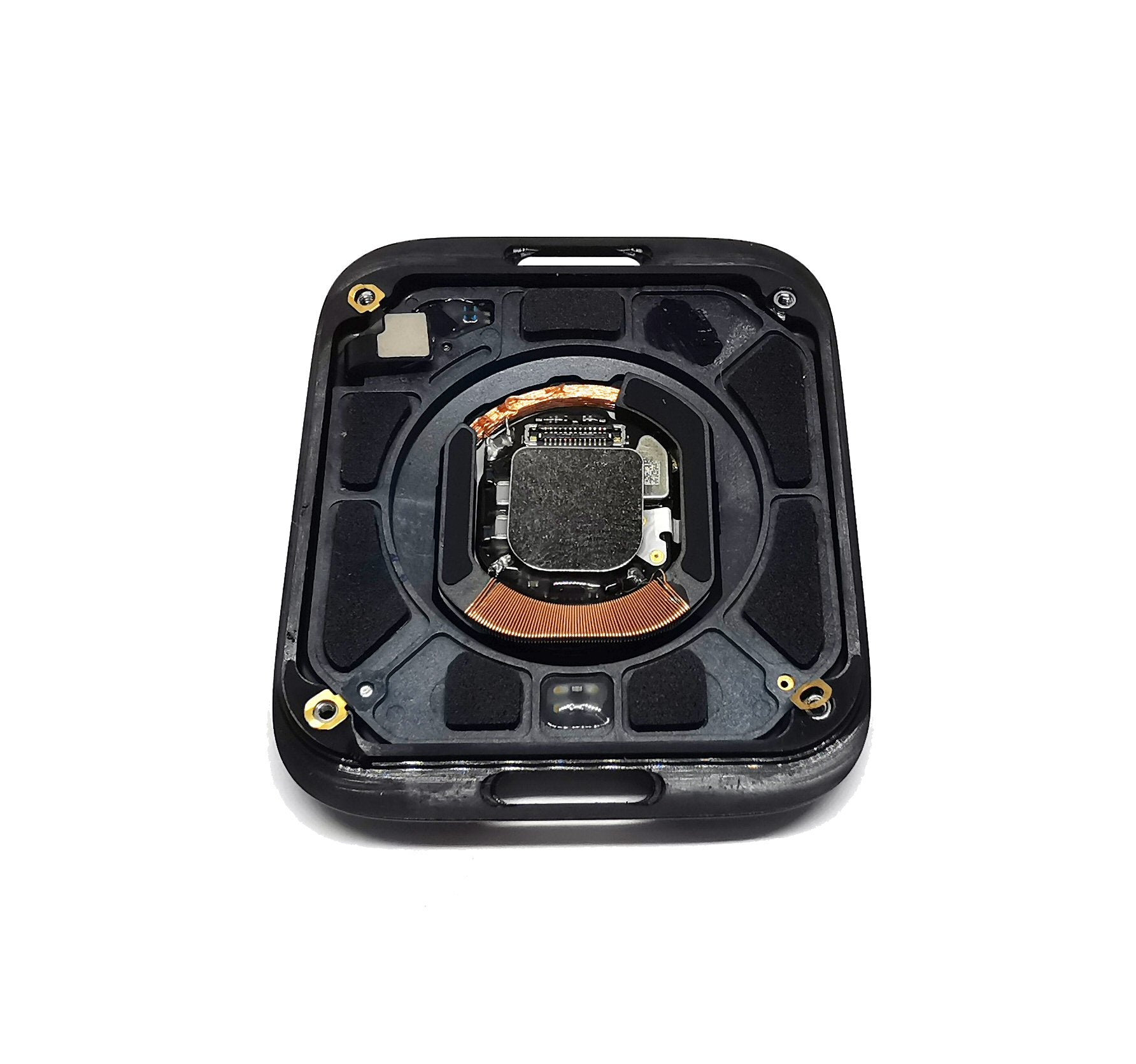 Rear Housing For Series 4 Apple Watch 44MM GPS Cellular LTE A2008 Housing FoneFunShop   